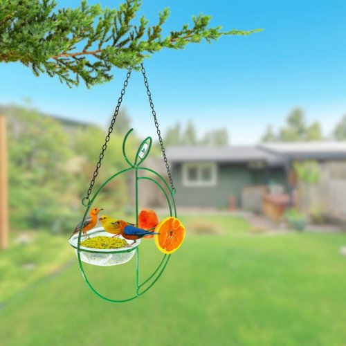 Alimentador Livre Birds Wire Fruit LC137 - Verde