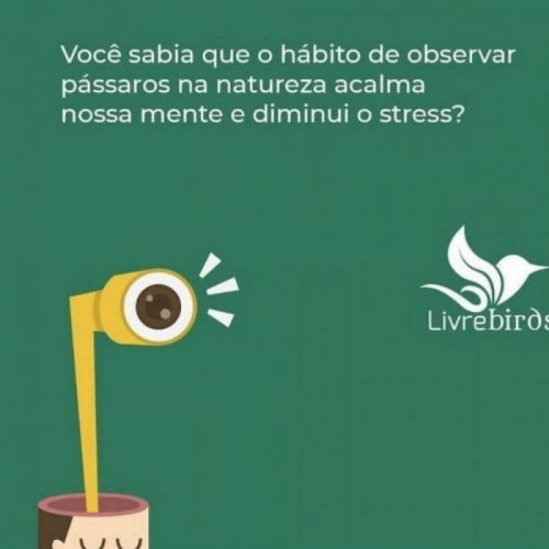 Comedouro Livre Birds PV1 Para Pássaros Livres