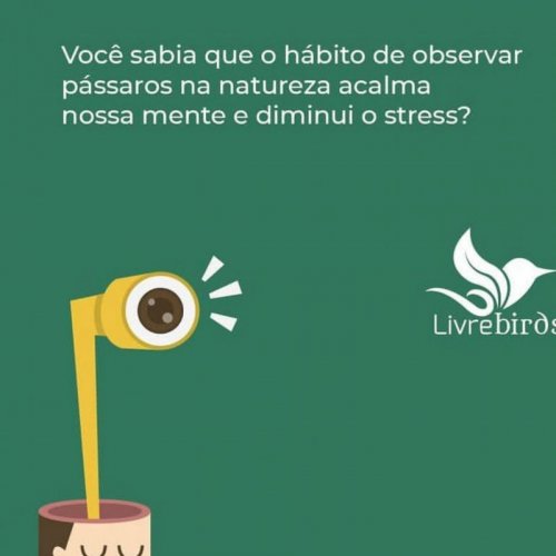 Casinha Livre Birds P2 para Pássaros Livres