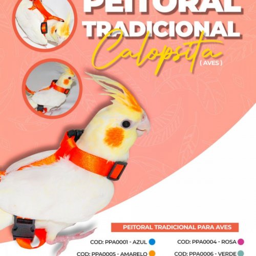 Guia e Peitoral Tradicional Para Calopsita Morapet