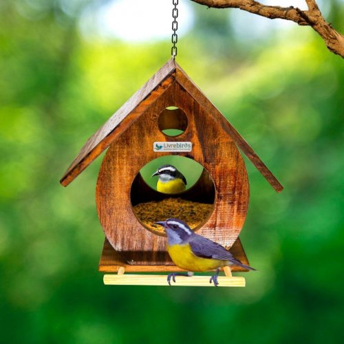 Alimentador Livre Birds Rustic Wood JÓ1407