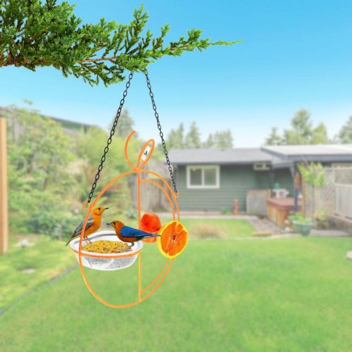 Alimentador Livre Birds Wire Fruit LC137 - Laranja