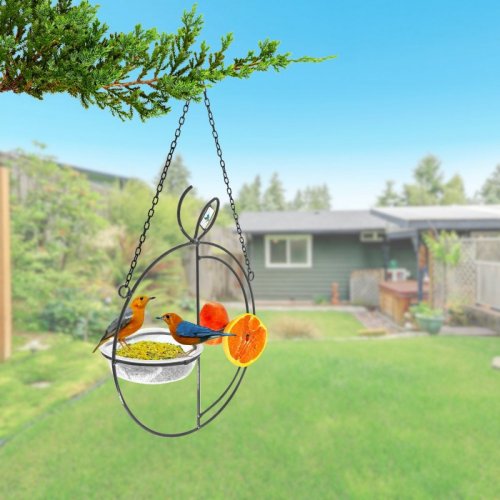 Alimentador Livre Birds Wire Fruit LC137 - Preto