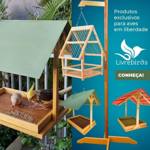 Comedouro  Livre Birds GN01 + Bebedouro Kotori Beija-Flor Super Luxo para Pássaros Livres