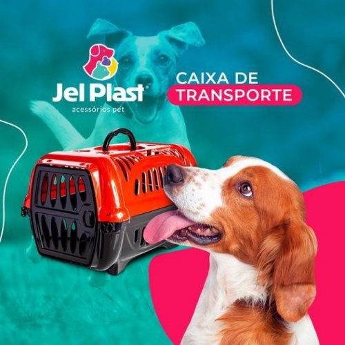 Caixa de Transporte JelPlast Número 1