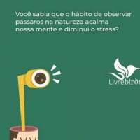 Casinha Livre Birds P2 para Pássaros Livres