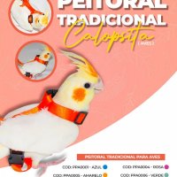 Guia e Peitoral Tradicional Para Calopsita Morapet