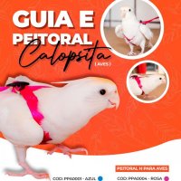 Guia e Peitoral H Para Calopsita Morapet