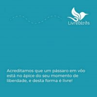 Comedouro Livre Birds SL91