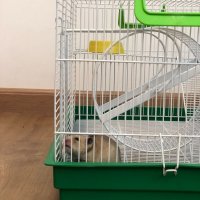 Gaiola Bragança Sírio Para Hamsters