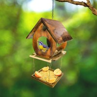 Alimentador Livre Birds Rustic Wood Duplex 1COR1310